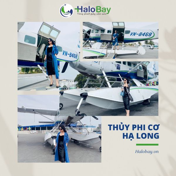 VI VU NGẮM CẢNH HẠ LONG TRÊN THỦY PHI CƠ ĐẲNG CẤP QUỐC TẾ