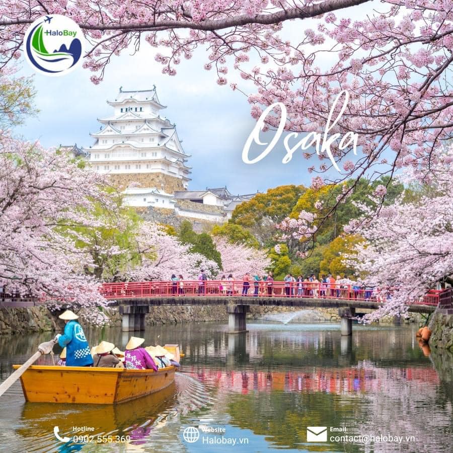 Khám Phá Osaka: Trải Nghiệm Văn Hóa Độc Đáo Và Tinh Hoa Ẩm Thực Nhật Bản