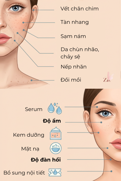 Lão hoá da: Nguyên nhân, dấu hiệu và cách chống lão hóa hiệu quả