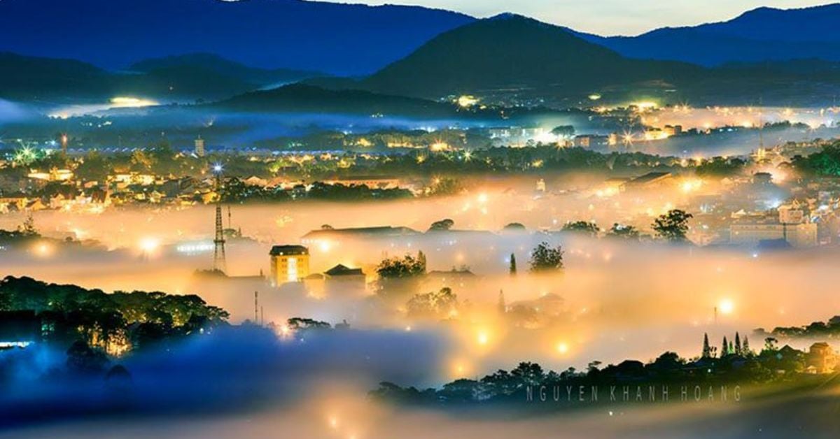 Đà Lạt & Cù Lao Xanh: Những vùng dẫn đầu về giá cà phê đặc sản của Việt Nam