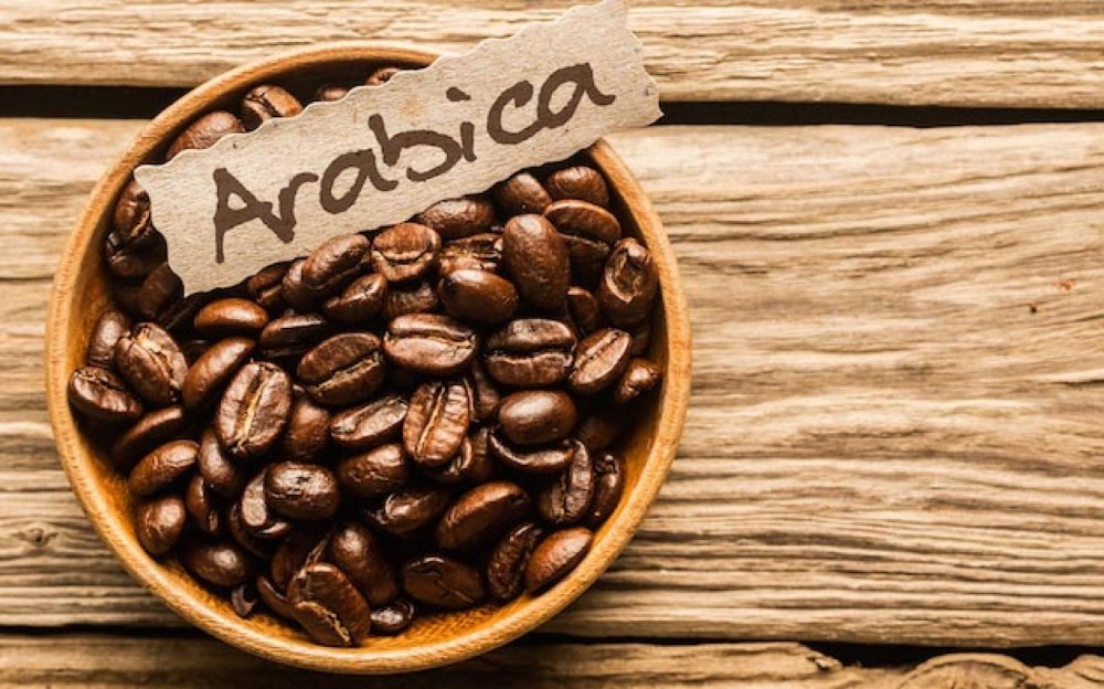 Định nghĩa chuẩn mực về cà phê đặc sản arabica