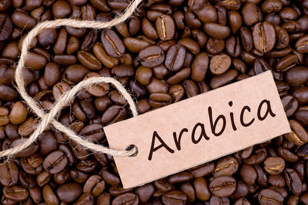 Vì sao cà phê arabica lại chua