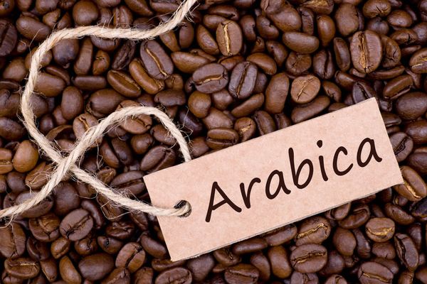 Vì sao cà phê arabica lại chua