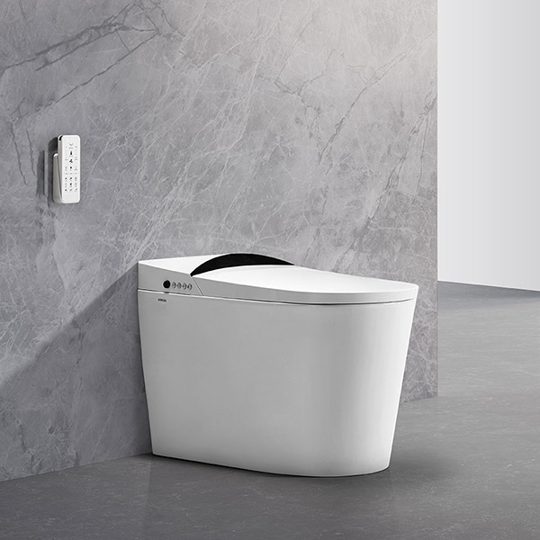 Giải Pháp Vệ Sinh Thông Minh Từ Arrow Việt Nam