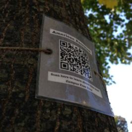 Truy Xuất Nguồn Gốc