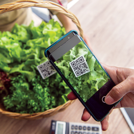 Truy Xuất Nguồn Gốc