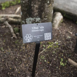 Truy Xuất Nguồn Gốc 