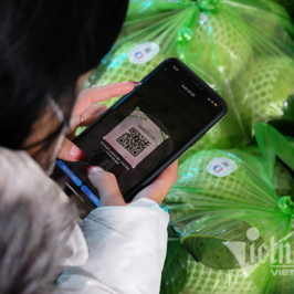 Truy Xuất Nguồn Gốc