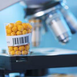 Food Contamination Analysis