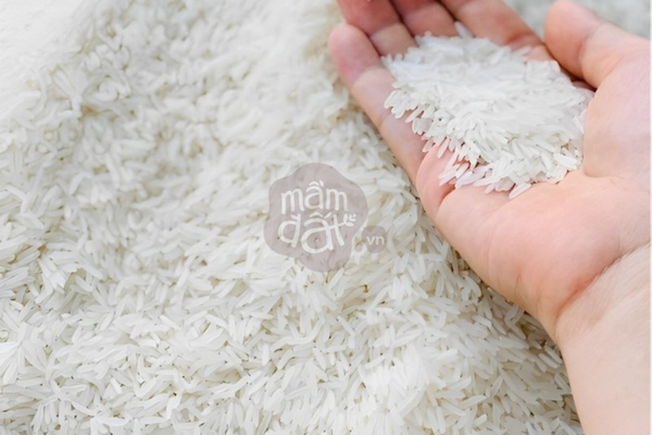 Gạo ST25 Lúa Tôm - Người Bạn Đồng Hành Trong Bữa Ăn Của Gia Đình Việt