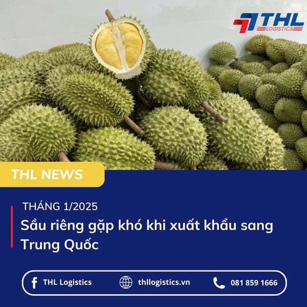 Hình ảnh bài viết