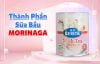Thành phần sữa bầu MORINAGA