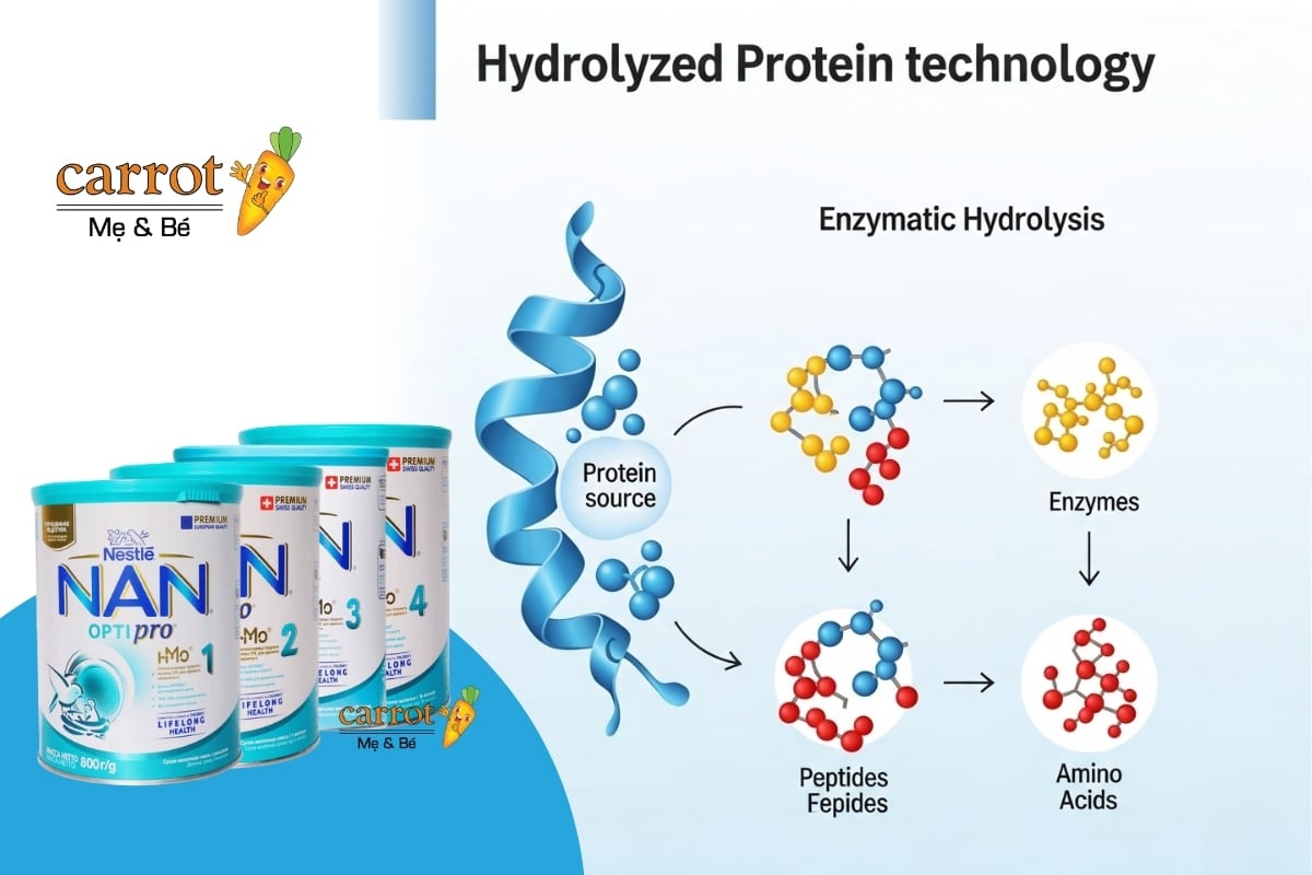 Công nghệ sữa NAN Free Lacotse