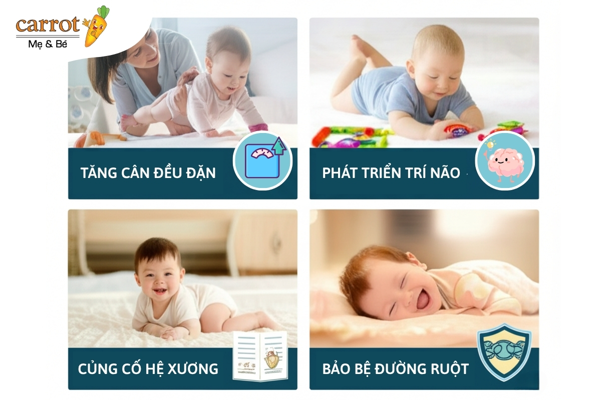 Sữa Blackmore siêu thị Mẹ Và Bé Carrot Đà Nẵng