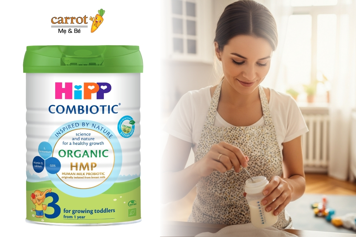Cách Pha Sữa Hipp Số 1 Mẹ Và Bé Carrot Đà Nẵng