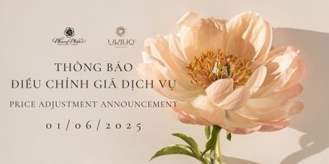 Service Fee Update at NP Brows & Lashes x Ukiyo® Spa