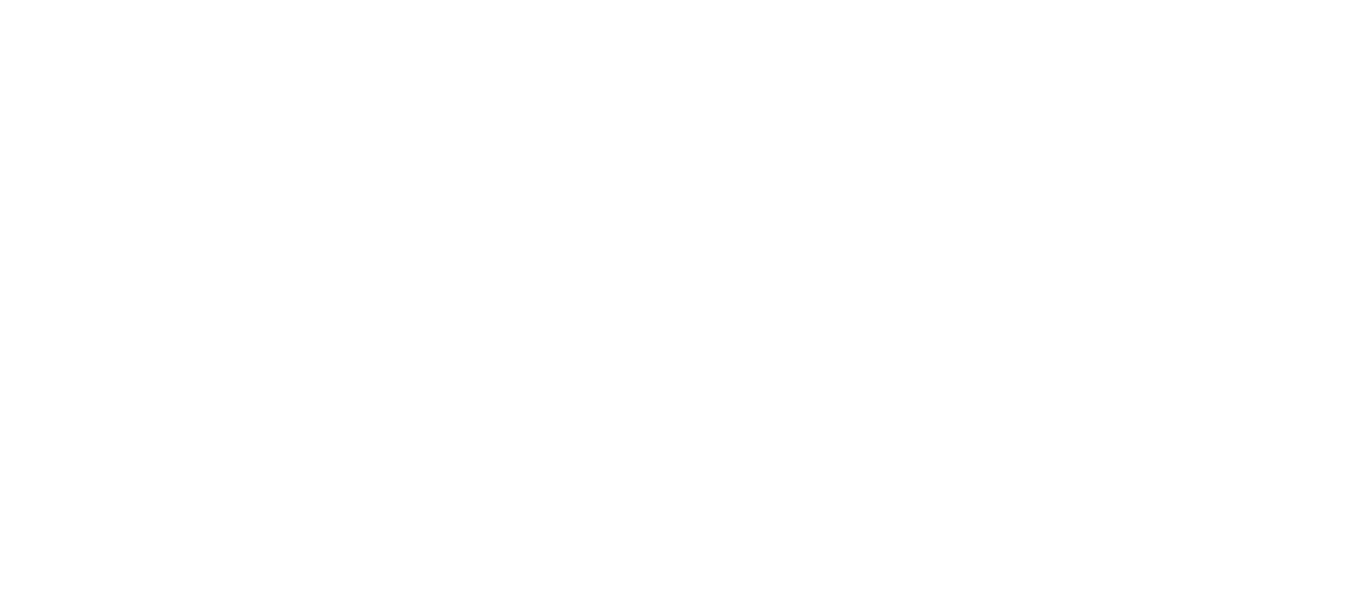 toyo-sasaki
