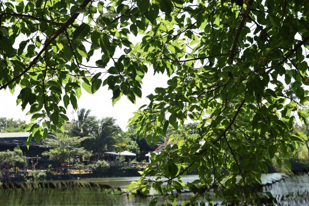 HÌNH ẢNH NGÀY 17.11.2024