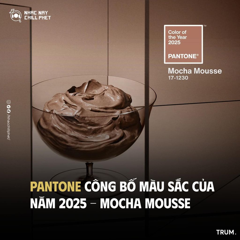 Pantone 2025 - Mocha Mousse