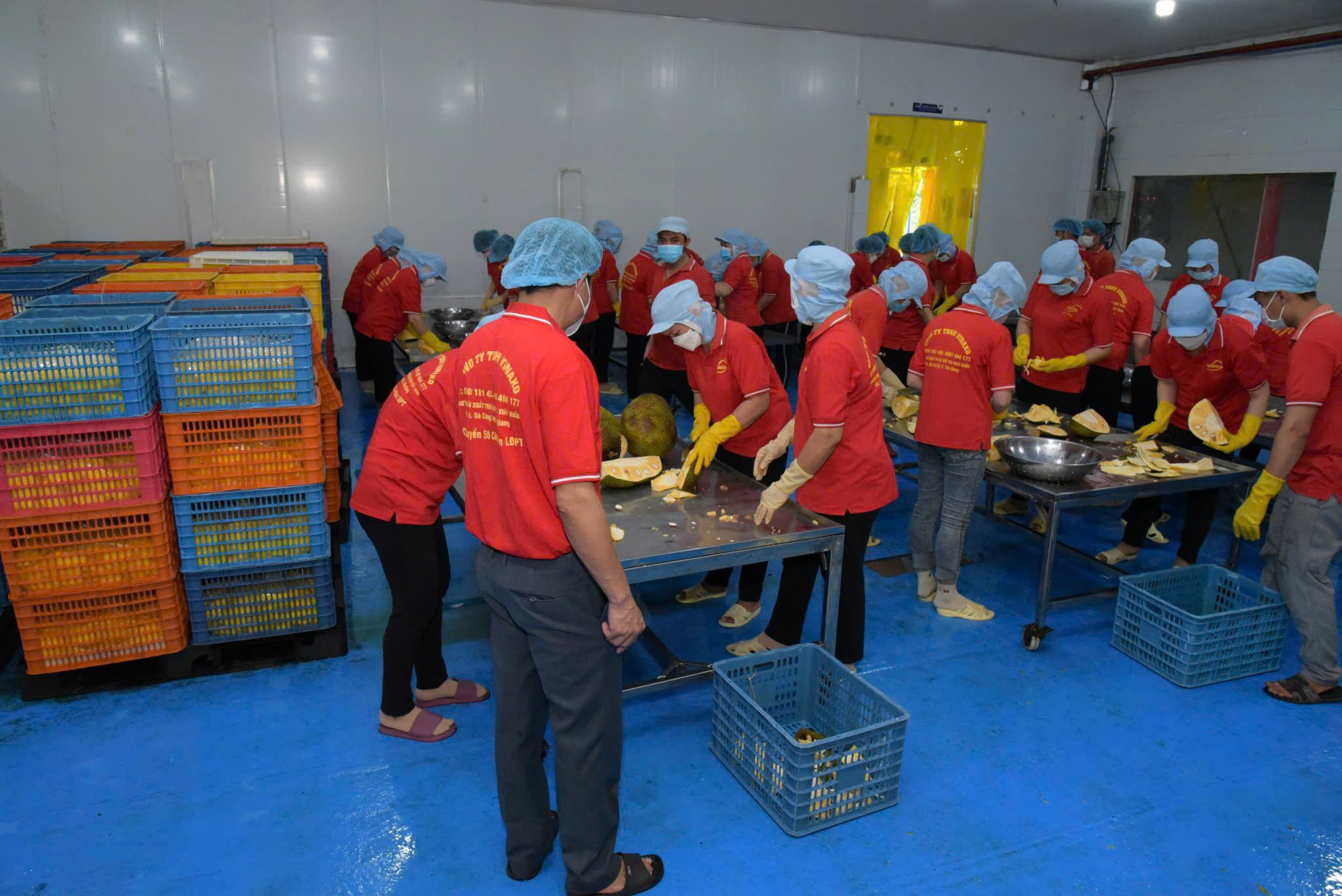 Nông sản, thực phẩm Việt Nam “phủ sóng” ngày càng rộng