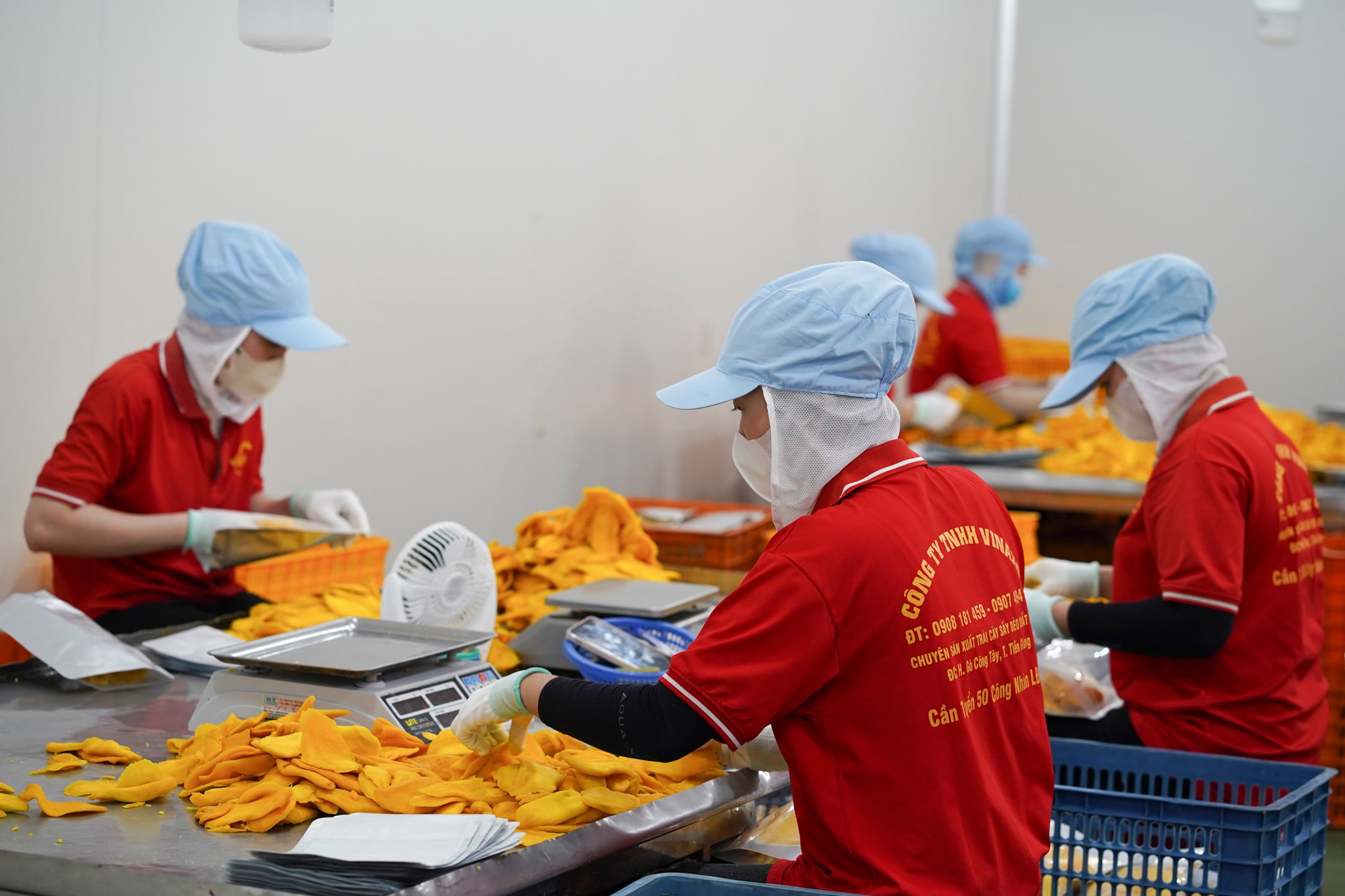 Xuất khẩu rau quả thu lợi từ thị trường gần