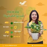 Vận chuyển cây xanh – Tiết kiệm chi phí, không lo hư hại!
