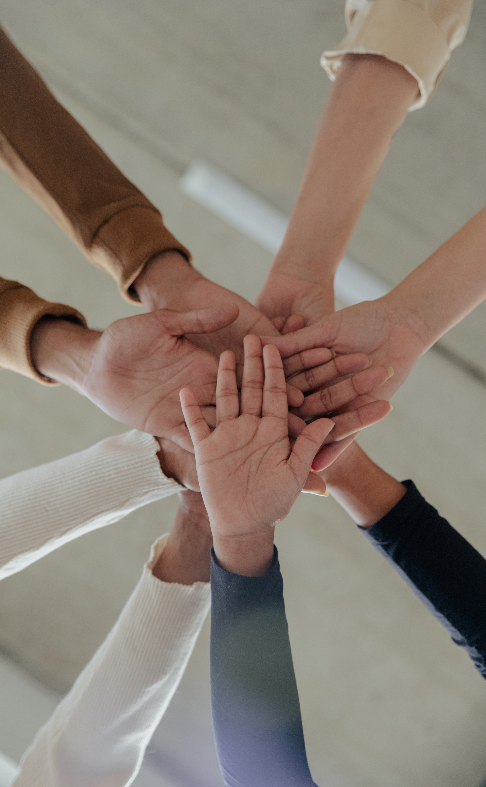 Văn hoá phát triển(Growth Culture)