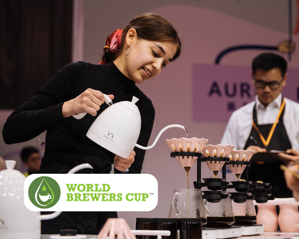 Cuộc Thi Pha Thủ Công Thế Giới (World Brewers Cup – WBrC)