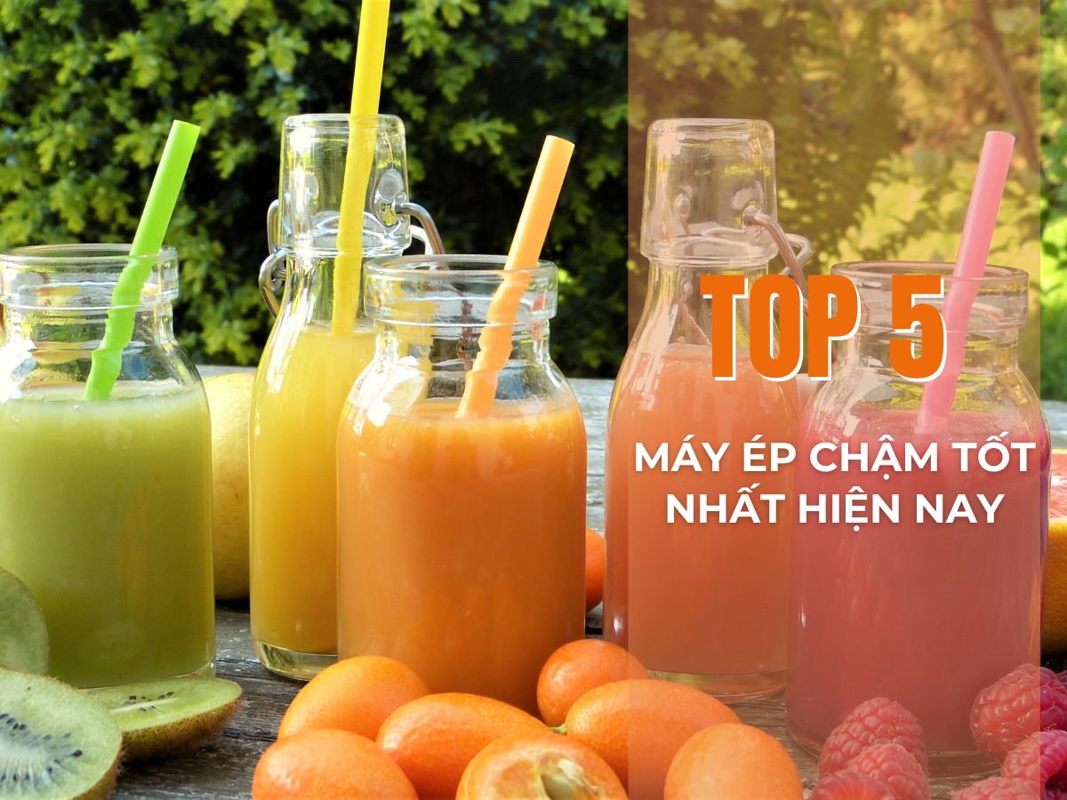 Tổng hợp 5 máy ép chậm tốt nhất, vắt kiệt bã, bền bỉ