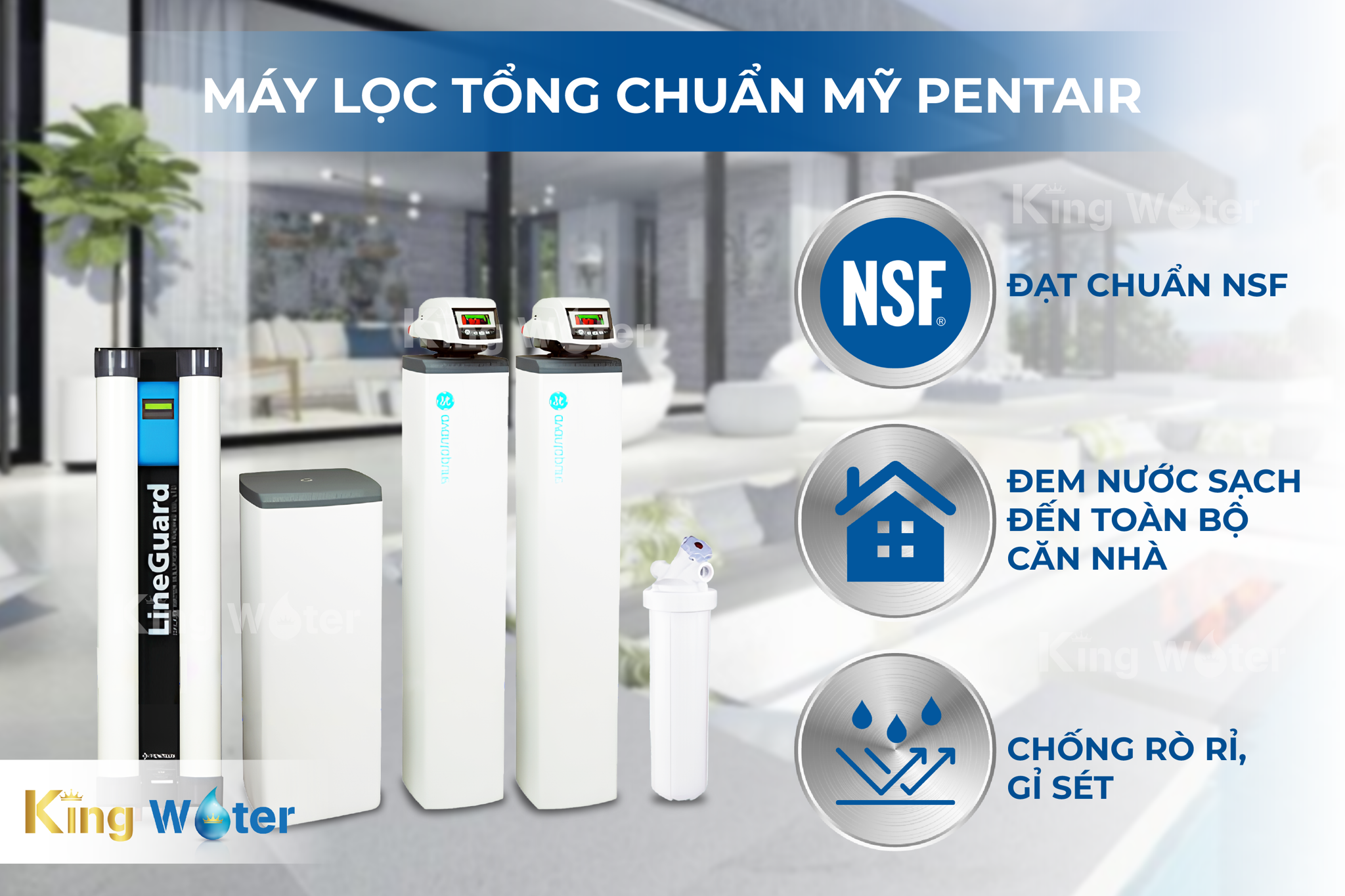 Máy lọc tổng đầu nguồn Pentair AvantaPure POE Lineguard UF-100 được nhập khẩu chính hãng từ Mỹ