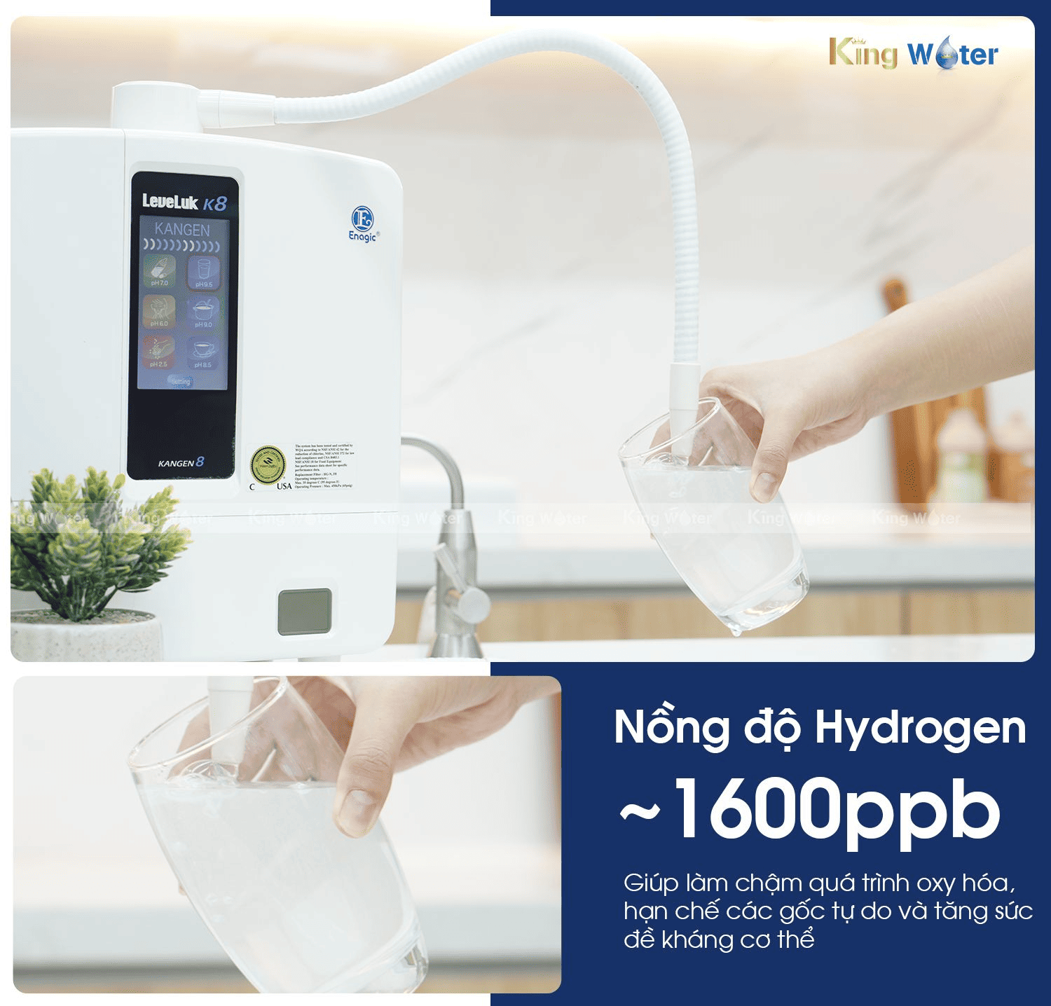 Máy Kangen K8 chứa hàm lượng Hydrogen vượt trội lên đến 1600 ppb
