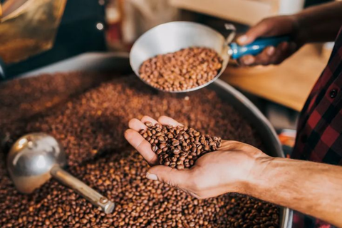 3 PHƯƠNG PHÁP CHẾ BIẾN CÀ PHÊ PHỔ BIẾN NHẤT HIỆN NAY
