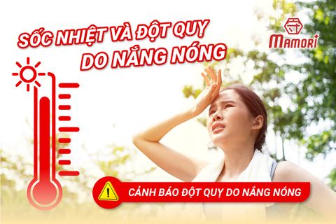Cảnh Báo: Nguy cơ đột quỵ do nắng nóng