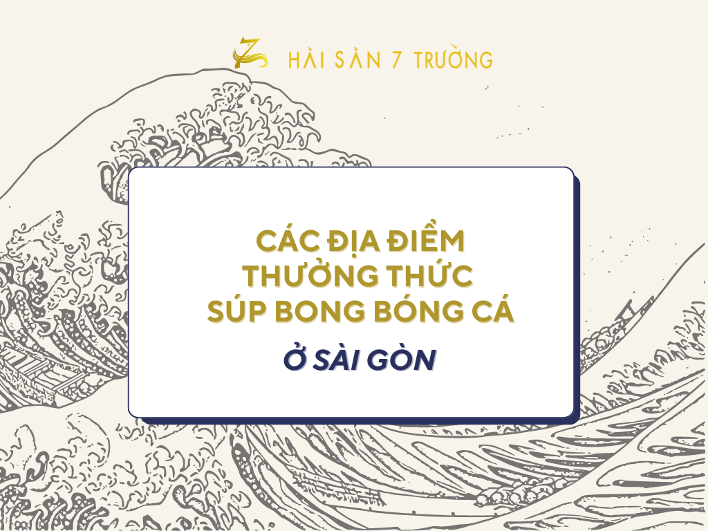 ĂN SÚP BÓNG CÁ Ở ĐÂU NGON?