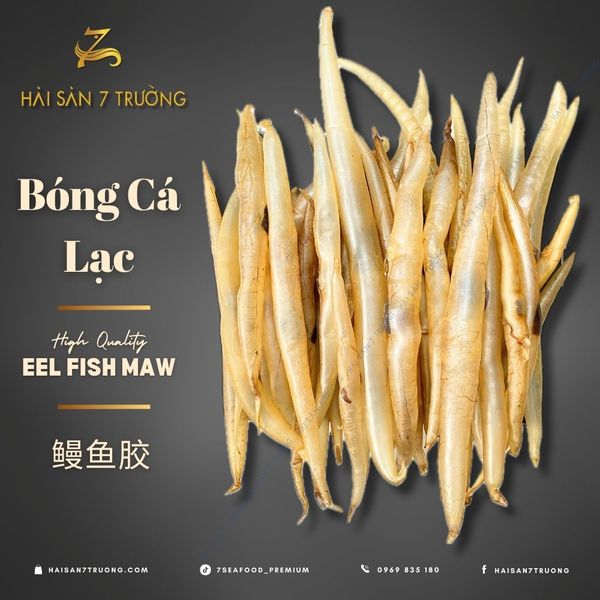 BÓNG CÁ LẠC (Eel Fish Maw) Món ngon từ biển cả