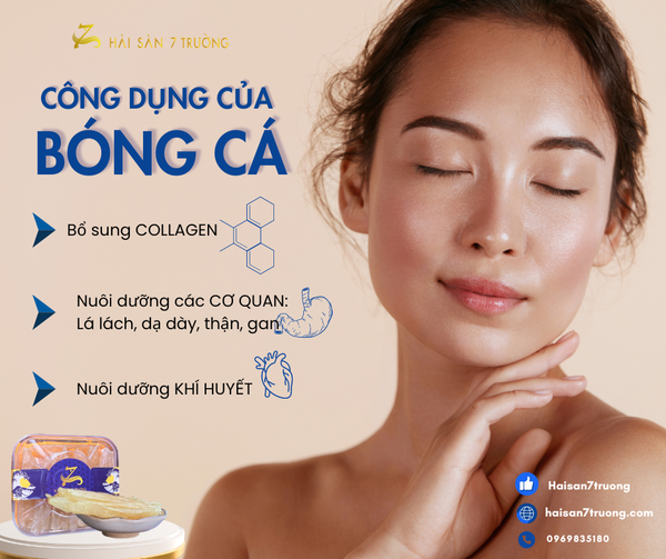 BONG BÓNG CÁ GIÀU COLLAGEN (Công Dụng Vàng Với Phụ Nữ) - FISH MAW RICH IN COLLAGEN (Golden Benefits for Women)