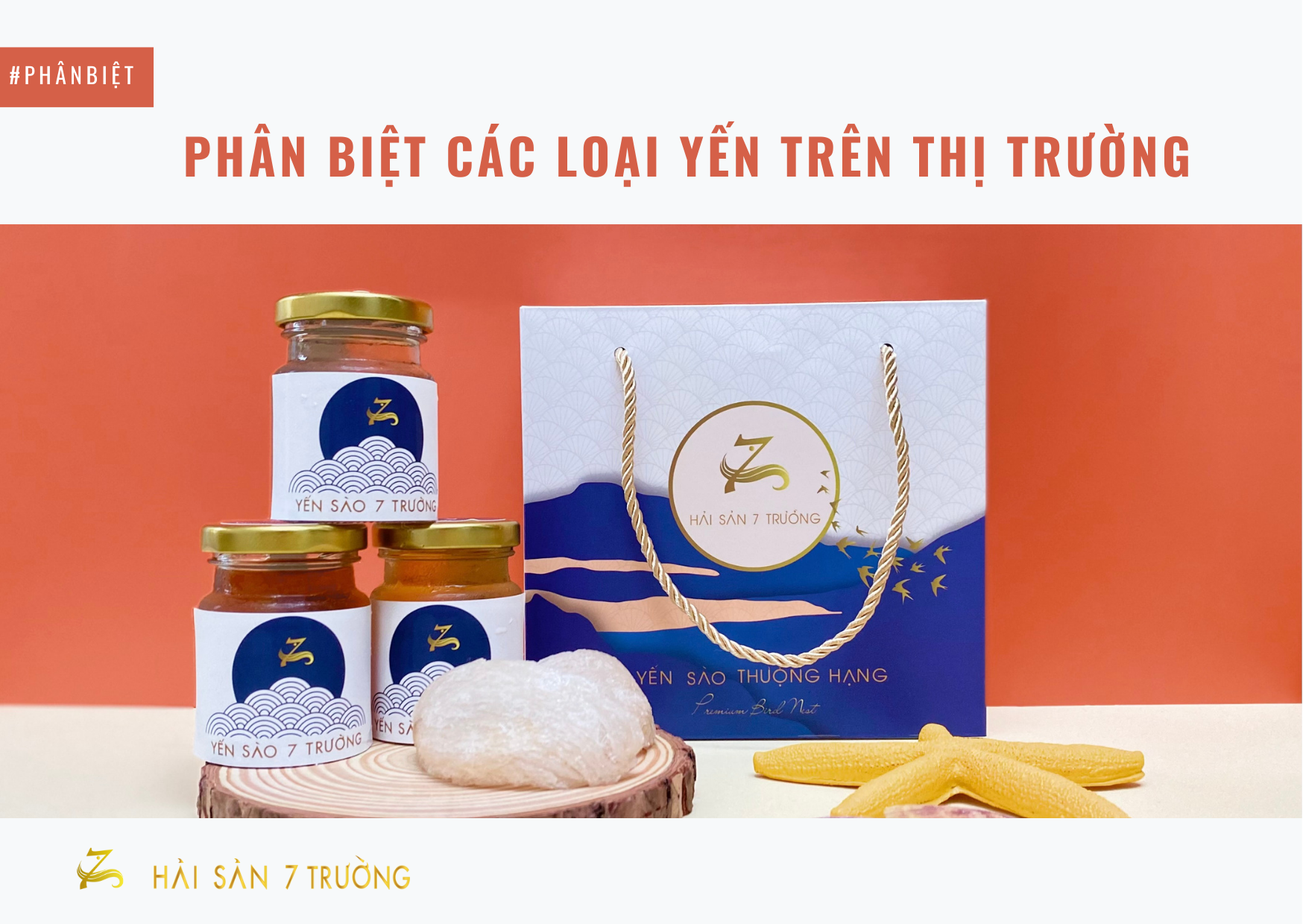 TẠI SAO GỌI LÀ YẾN SÀO? PHÂN BIỆT CÁC LOẠI TỔ YẾN TRÊN THỊ TRƯỜNG?