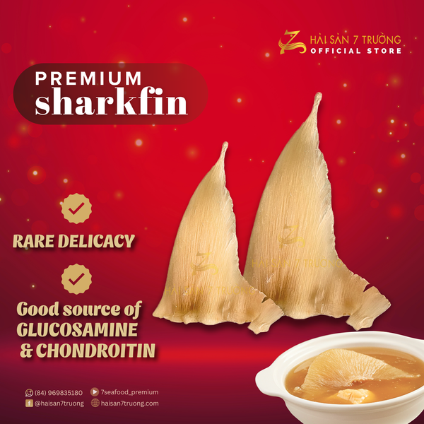 WHAT IS SHARK FIN SOUP?