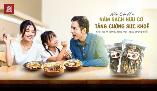 Top 8 loại nấm hữu cơ có giá trị dinh dưỡng cao tại Nấm Liên Hoa