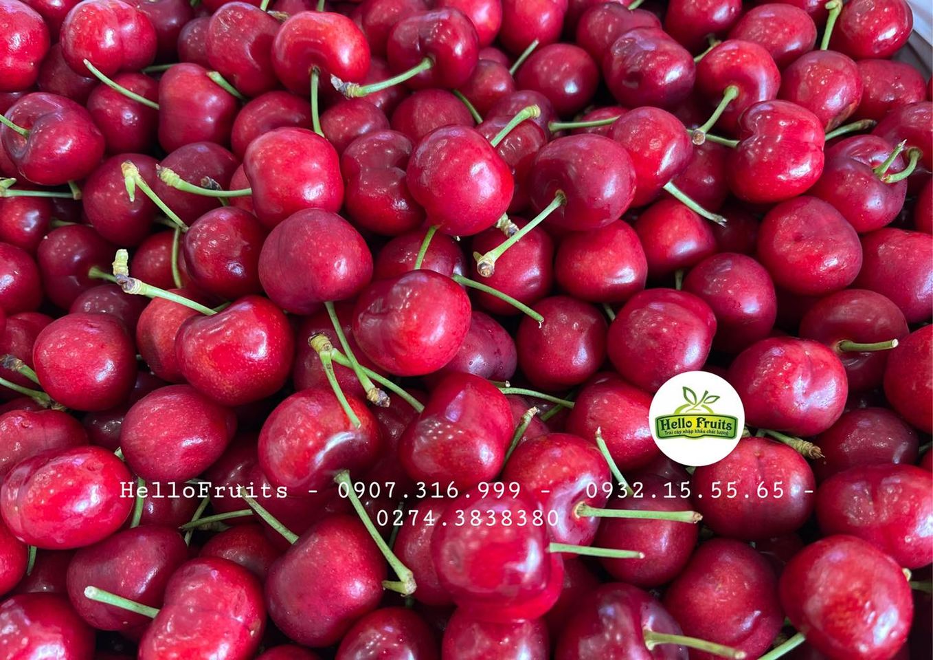 Mua Cherry Mỹ tại Bình Dương - Trái cây nhập khẩu chất lượng tại Hello Fruits