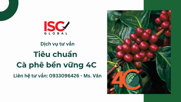 Tiêu chuẩn 4C: Nền tảng cho Cà phê Bền vững Toàn cầu