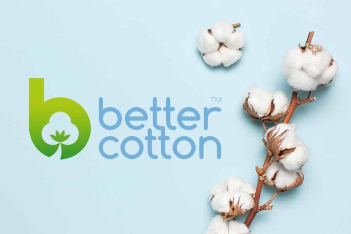 TỔNG QUAN VỀ BCI - BETTER COTTON INITIATIVE