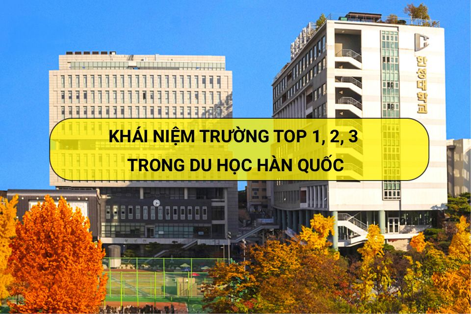 Trường TOP 1 - 2 -3 khác nhau như thế nào?