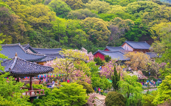 CHUNGCHEO NAM – ĐIỂM NÊN ĐẾN  KHI DU HỌC HÀN QUỐC