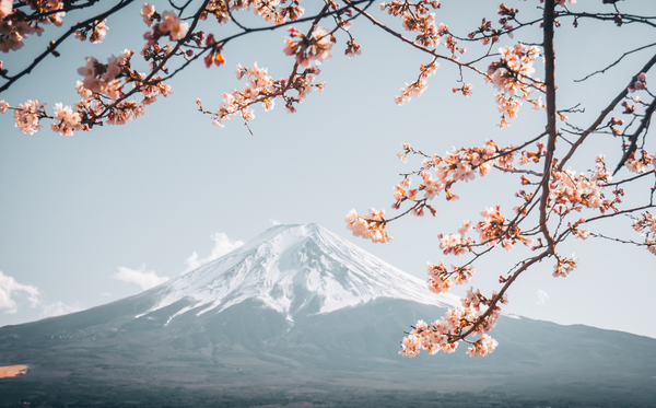 DU HỌC NHẬT BẢN 2025 – NÊN HAY KHÔNG NÊN ĐI ? CẨM NANG DU HỌC NHẬT BẢN 2025