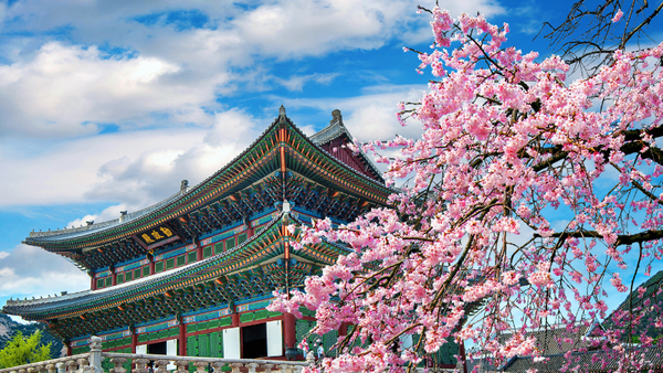 Du học Hàn Quốc 2025: Điều kiện, chi phí, lộ trình Mới Nhất!