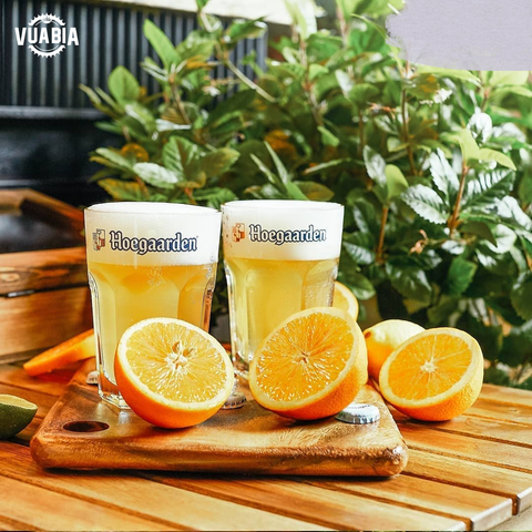 BIA PORTER LÀ GÌ? HƯỚNG DẪN ĐẦY ĐỦ VỀ PORTER BEER