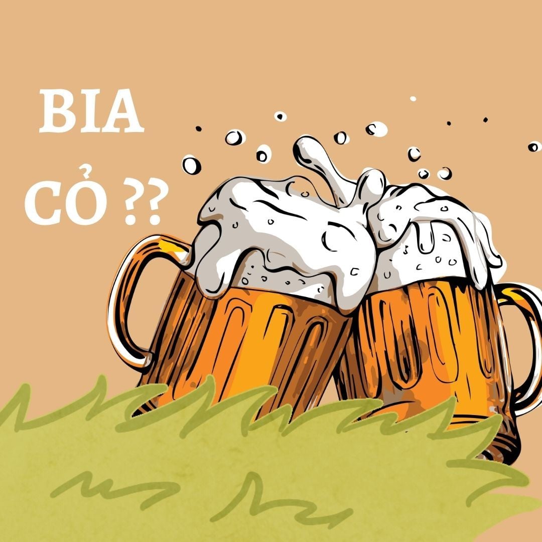 BIA CỎ LÀ GÌ? NHỮNG ĐIỀU BẠN CẦN BIẾT VỀ BIA CỎ