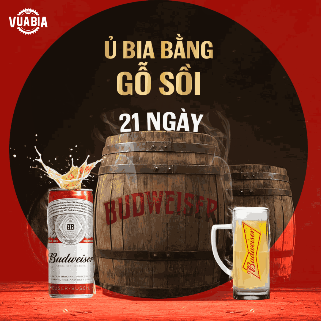 QUY TRÌNH SẢN XUẤT BIA: NHỮNG GÌ BẠN CẦN BIẾT