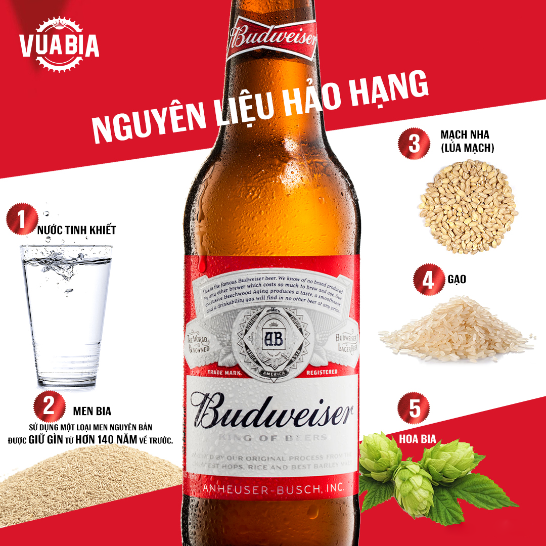 THÀNH PHẦN CỦA BIA: TẤT CẢ NHỮNG GÌ BẠN CẦN BIẾT